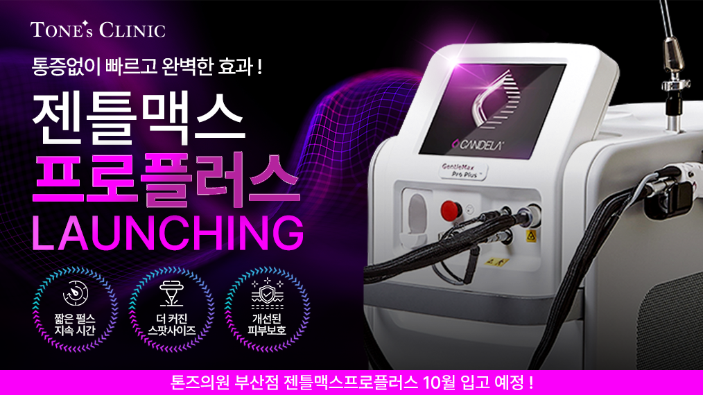 팝업